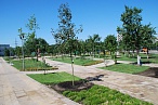 рис. 4в Примеры использования почвогрунтов в зеленом хозяйстве г.Москвы